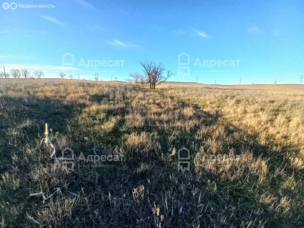 Участок в Городищенский район, Царицынское сельское поселение, посёлок ... - Фото 2
