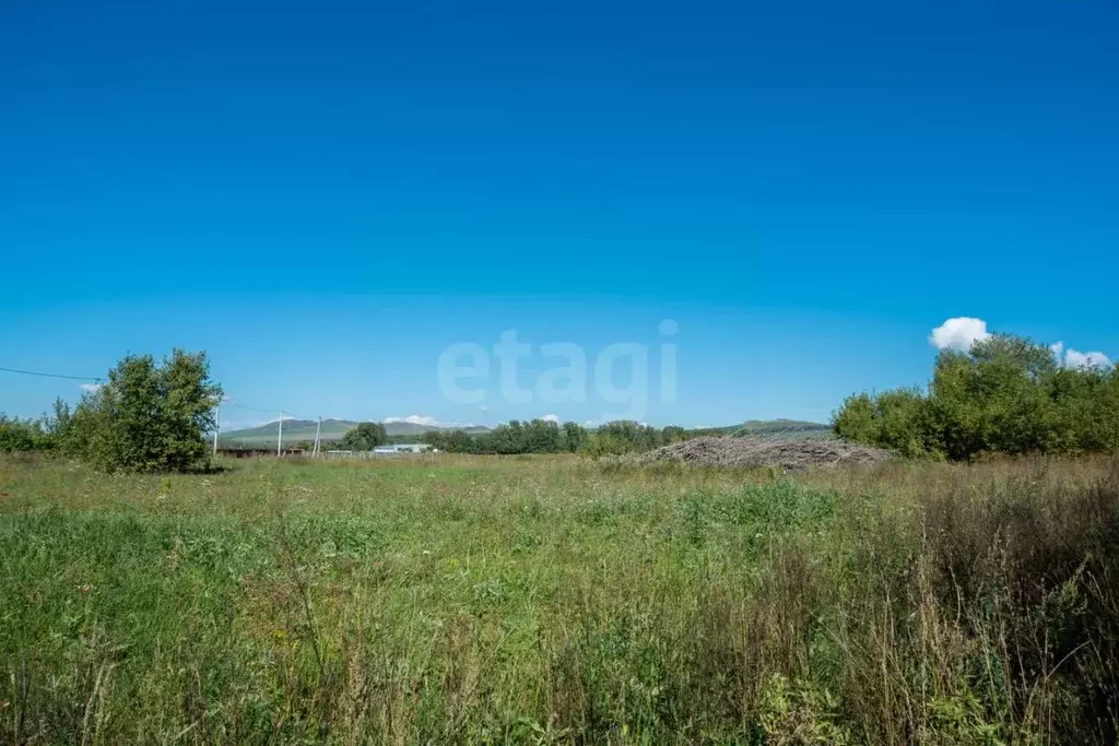 Участок в Алтайский край, Алтайский район, с. Алтайское ул. Заводская ... - Фото 0
