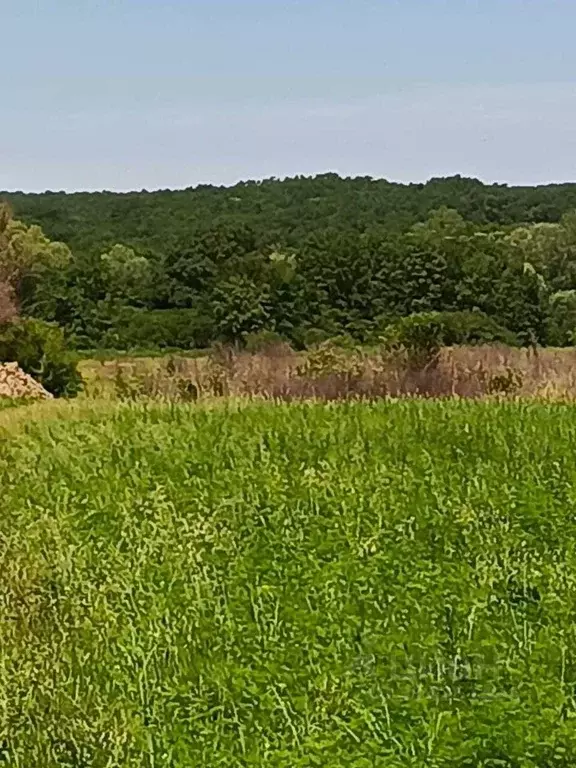 Участок в Краснодарский край, Крымский район, Адагумское с/пос, с. ... - Фото 2