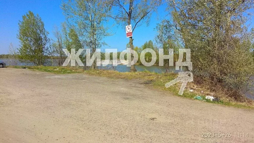 Участок в Новосибирская область, Новосибирский район, Кубовинский ... - Фото 1