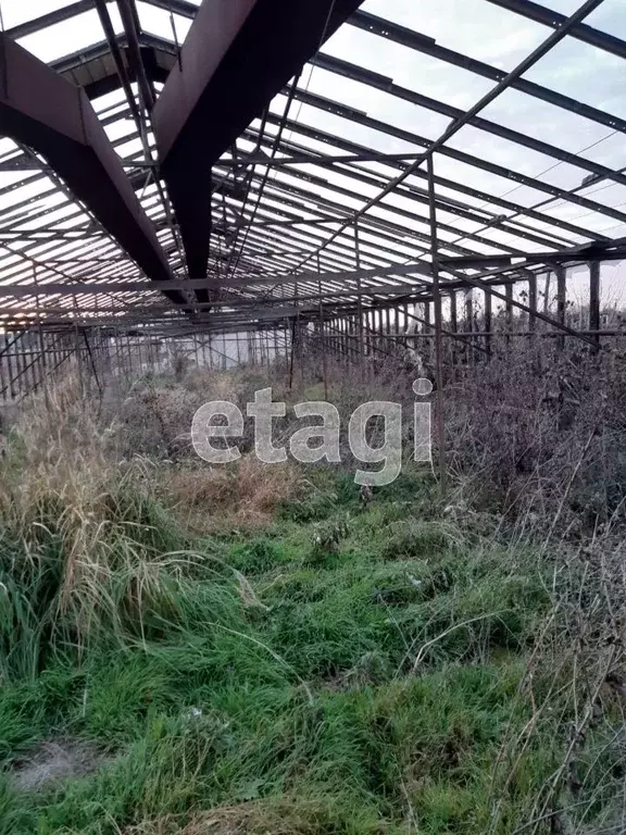 Участок в Краснодарский край, Ейский район, Кухаривское с/пос, с. ... - Фото 1