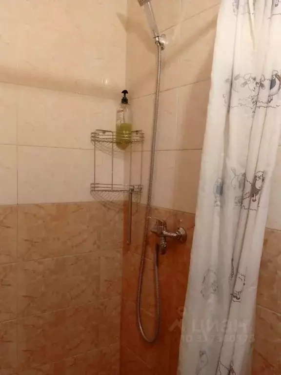 Комната Новосибирская область, Новосибирск Каменская ул., 26 (17.6 м) - Фото 1