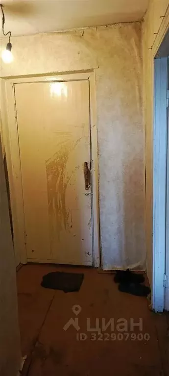 1-к кв. Рязанская область, Шилово рп ул. Стройкова, 8 (30.0 м) - Фото 1