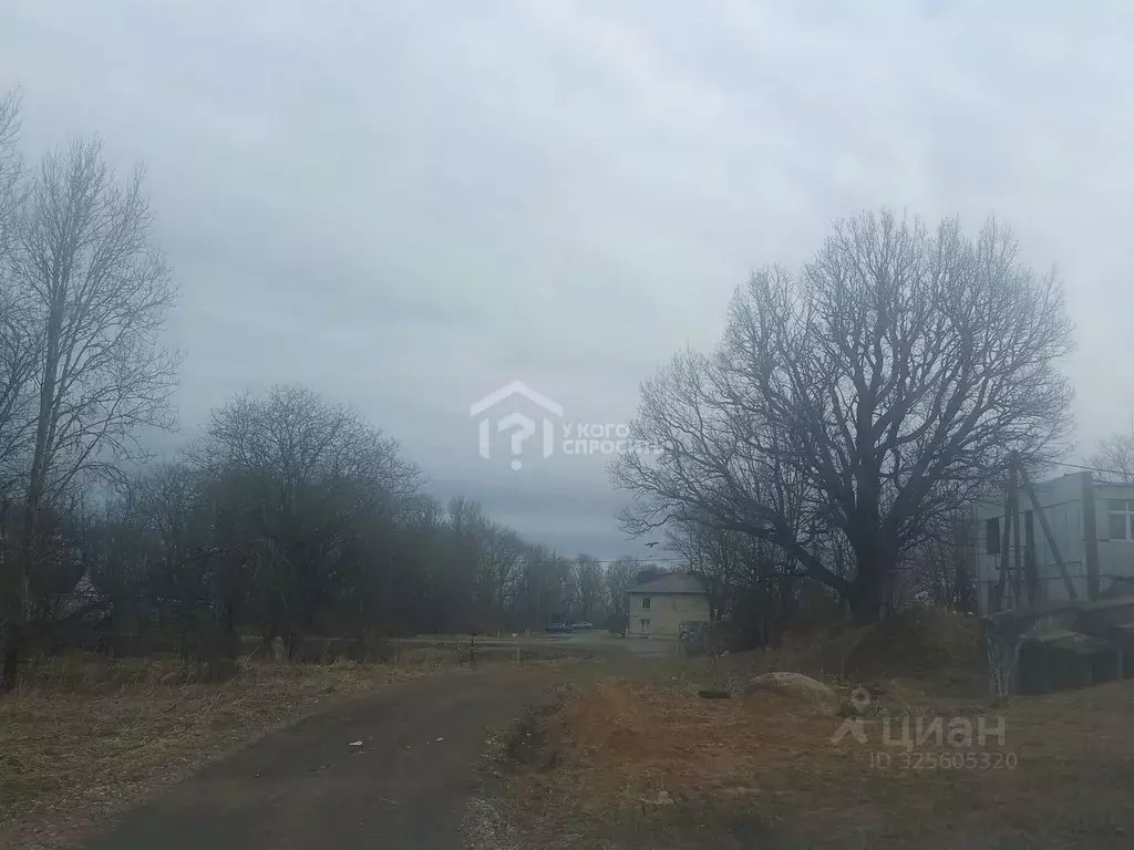 Участок в Ленинградская область, Ломоносовский район, Лопухинское ... - Фото 1