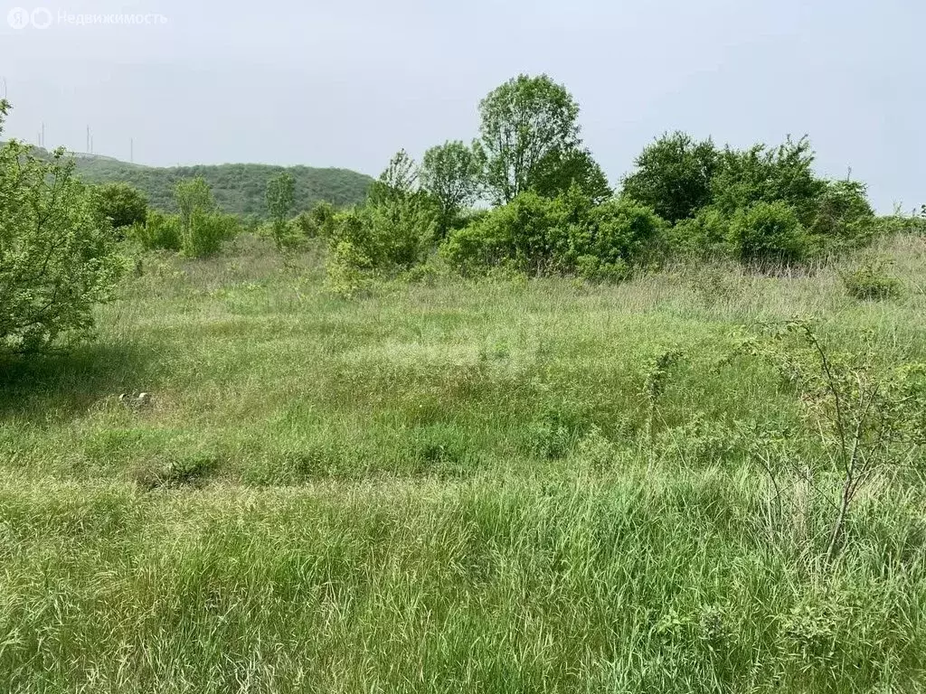 Участок в Краснодарский край, городской округ Новороссийск, село ... - Фото 1
