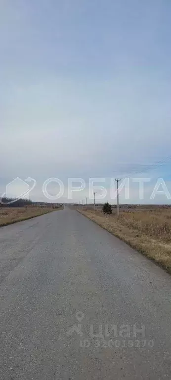 Участок в Тюменская область, Тюменский район, Кулаковское ... - Фото 0