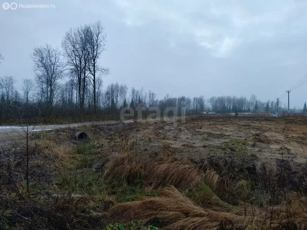 Участок в Агалатовское сельское поселение, садовые участки (11.28 м) - Фото 2