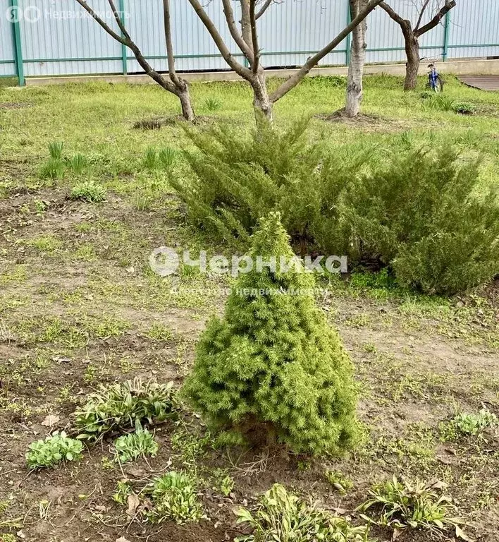 Участок в Старостаничное сельское поселение, садоводческое ... - Фото 1