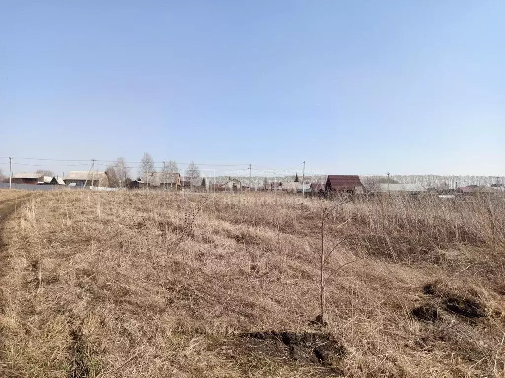 Участок в Кемеровская область, Ленинск-Кузнецкий пер. Пригородный ... - Фото 1