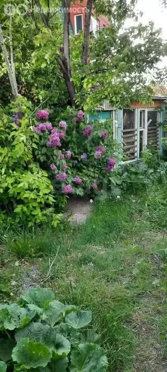 Участок в Липецк, улица Гоголя (6.6 м) - Фото 1