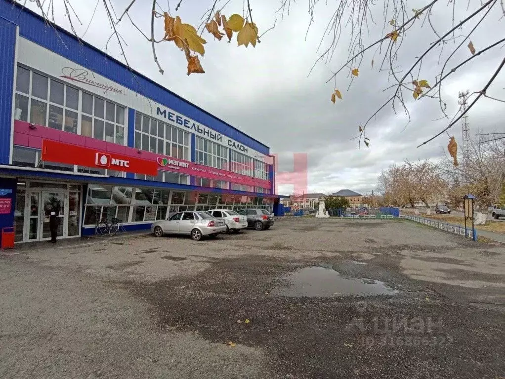 Торговая площадь в Курганская область, с. Белозерское ул. Карла ... - Фото 2