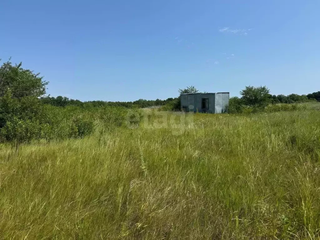 Участок в Белгородская область, Белгородский район, Никольское с/пос, ... - Фото 1