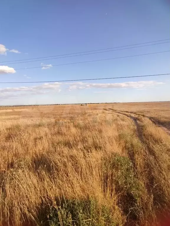 Участок 18 сот. (ИЖС) - Фото 0