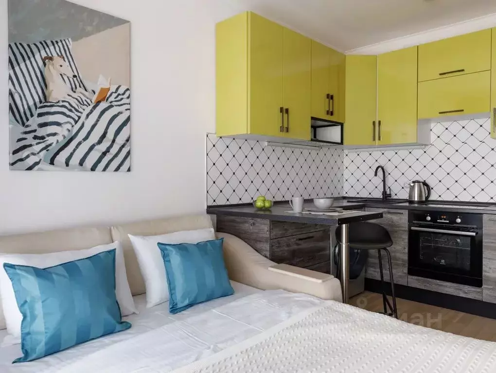 Студия Москва Боровское ш., 2к5 (23.0 м) - Фото 1