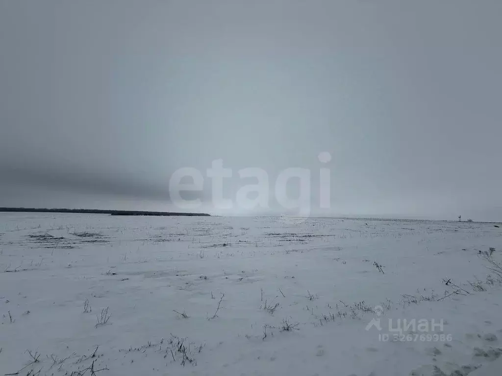 Участок в Белгородская область, Яковлевский муниципальный округ, с. ... - Фото 2