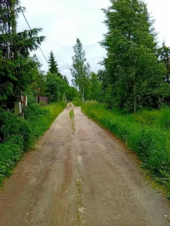 Участок в Ленинградская область, Гатчинский муниципальный округ, пос. ... - Фото 2