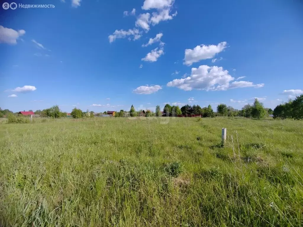 Участок в Московская область, городской округ Коломна, село ... - Фото 0