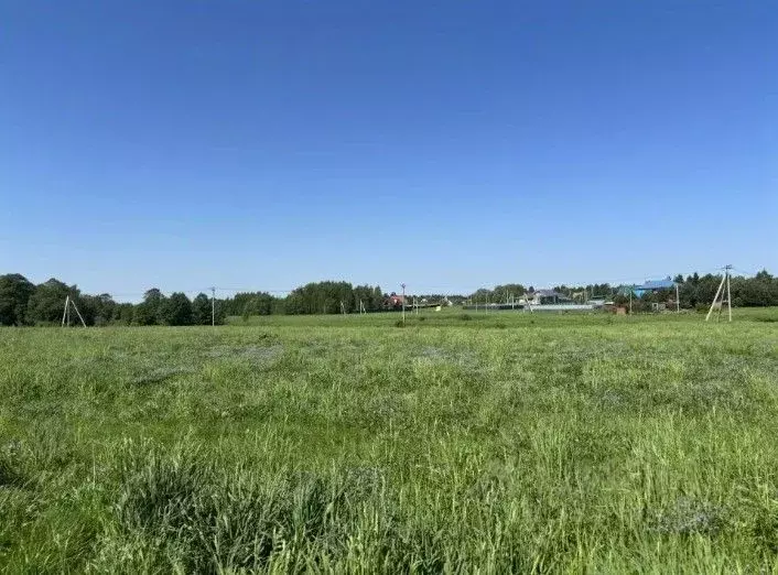 Участок в Московская область, Павлово-Посадский городской округ, д. ... - Фото 1
