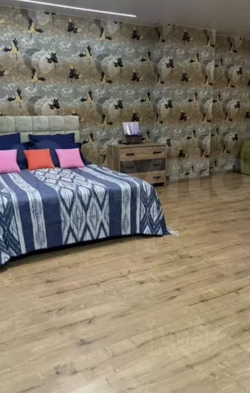 1-к кв. Алтай, Горно-Алтайск Проточная ул., 10/1к2 (40.0 м) - Фото 1