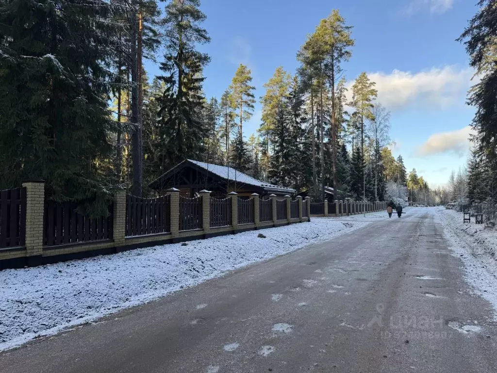 Участок в Ленинградская область, Выборгский район, Приморское ... - Фото 2