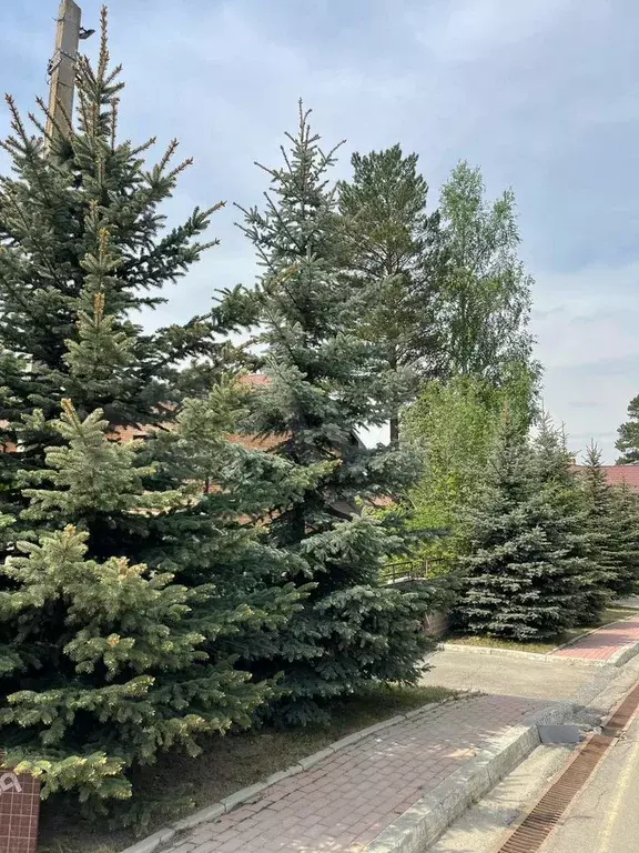 Участок 8 сот. (ИЖС) - Фото 0