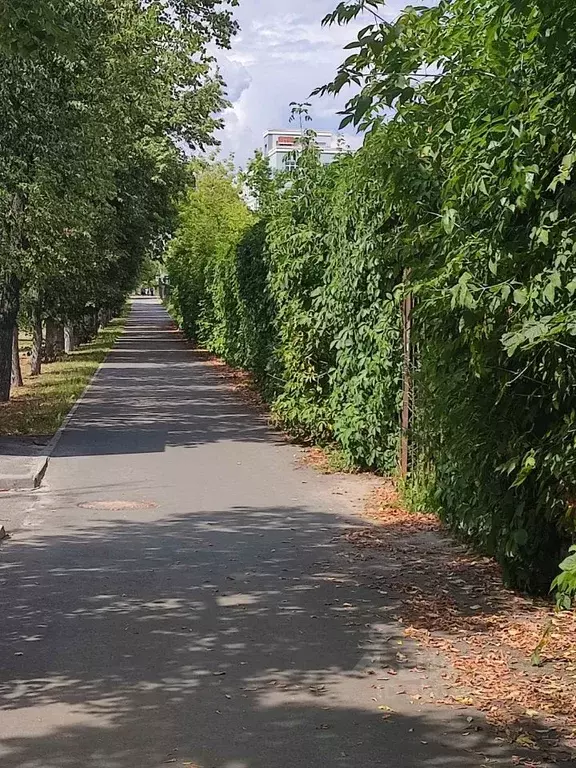 Участок в Нижегородская область, Дзержинск Мир СТ, 25 (5.5 сот.) - Фото 0