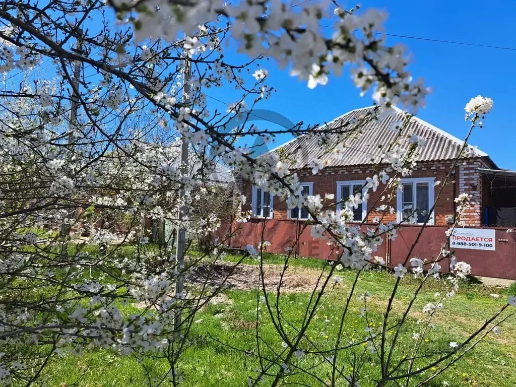 Дом в Краснодарский край, Апшеронск ул. Юдина (120 м) - Фото 1