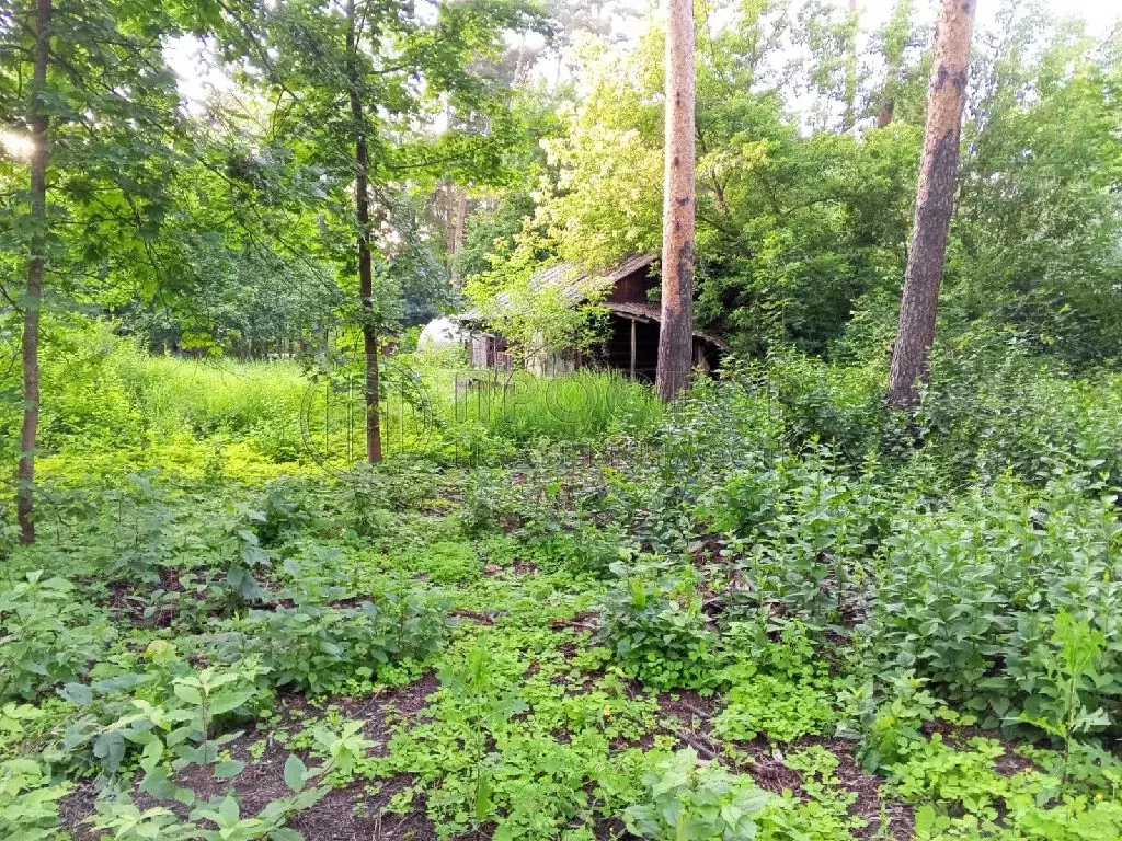 Продается участок в пгт Быково - Фото 2