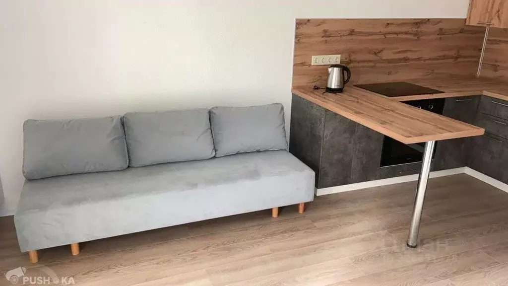 1-к кв. Московская область, Ленинский городской округ, д. Жабкино, ... - Фото 2