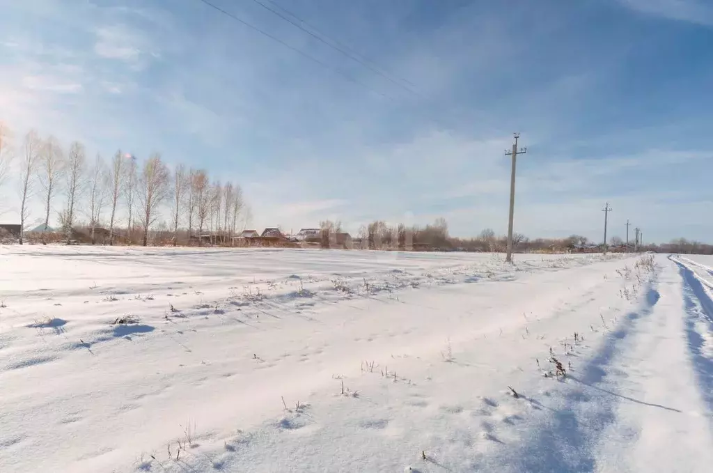 Участок в Алтайский край, Красногорский район, с. Березовка ул. ... - Фото 0