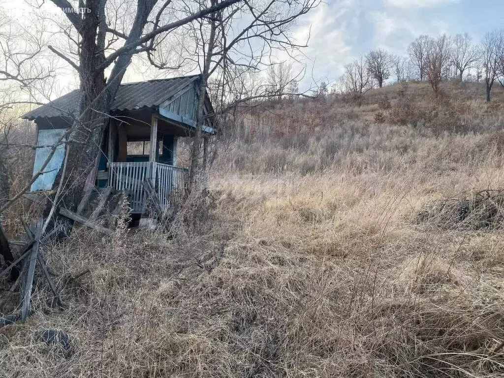 Участок в Благовещенск, посёлок Моховая Падь (8 м) - Фото 1