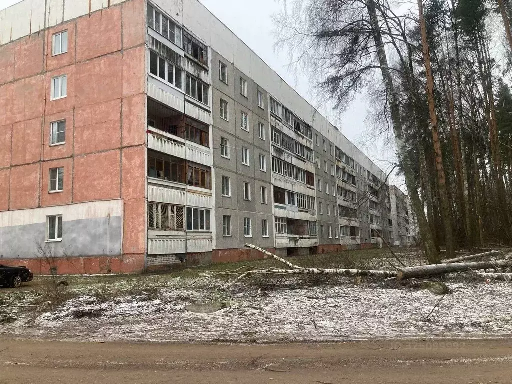 1-к кв. Ярославская область, Ярославский муниципальный округ, Лесная ... - Фото 1