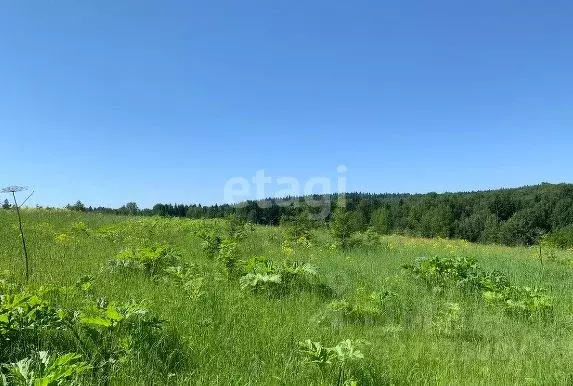 Участок в Пермский край, Пермский муниципальный округ, д. Пашня  ... - Фото 2