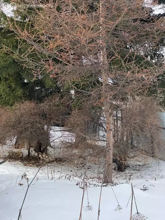 Дом в Иркутский муниципальный округ, СНТ Потенциал, 70 (27.5 м) - Фото 2
