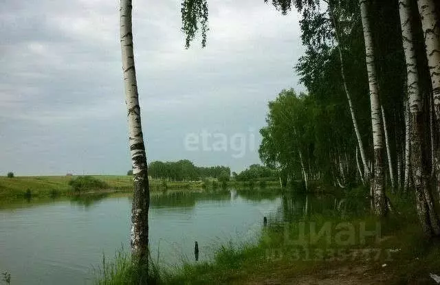 Участок в Нижегородская область, Богородский муниципальный округ, д. ... - Фото 0