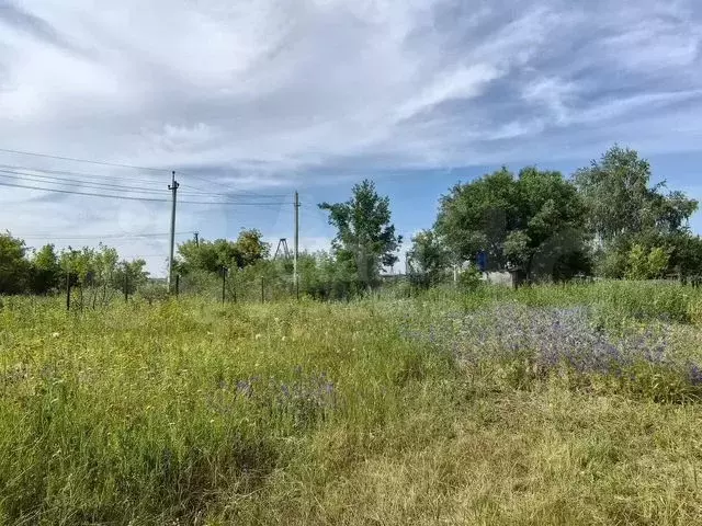 Участок 6,5 сот. (СНТ, ДНП) - Фото 0