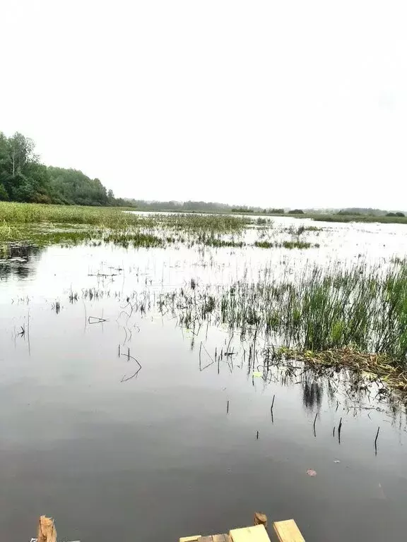 Участок в Приозерский район, Ромашкинское сельское поселение, посёлок ... - Фото 0