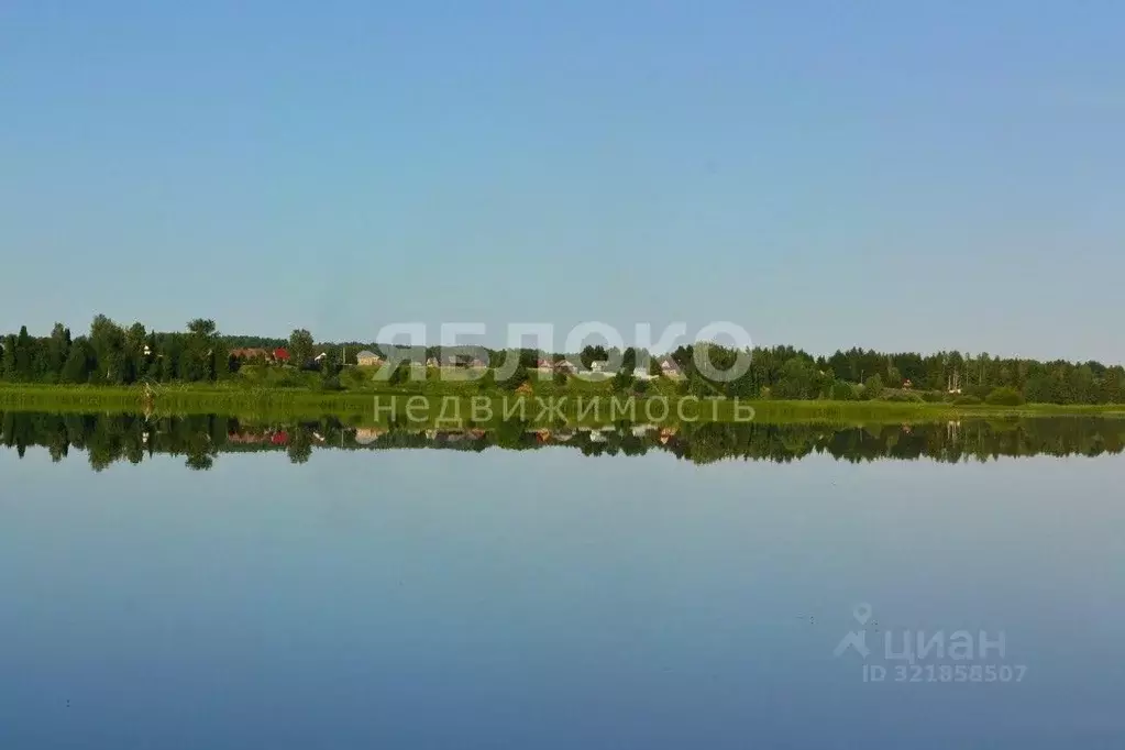 Участок в Пермский край, Березники муниципальный округ, д. Турлавы ул. ... - Фото 1