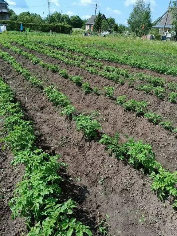 Участок в Калужская область, Перемышльский район, Ахлебинино с/пос, д. ... - Фото 2