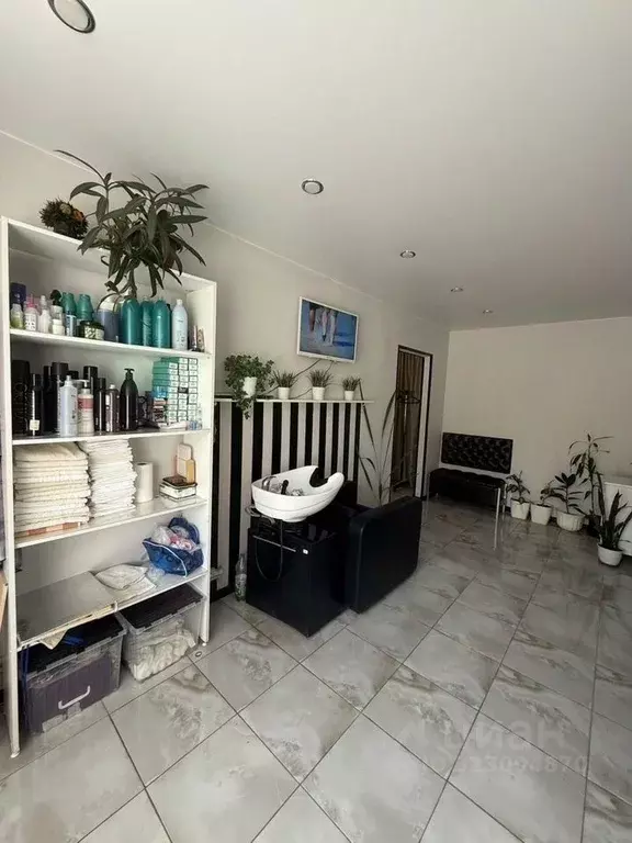 Помещение свободного назначения в Московская область, Яхрома ... - Фото 2