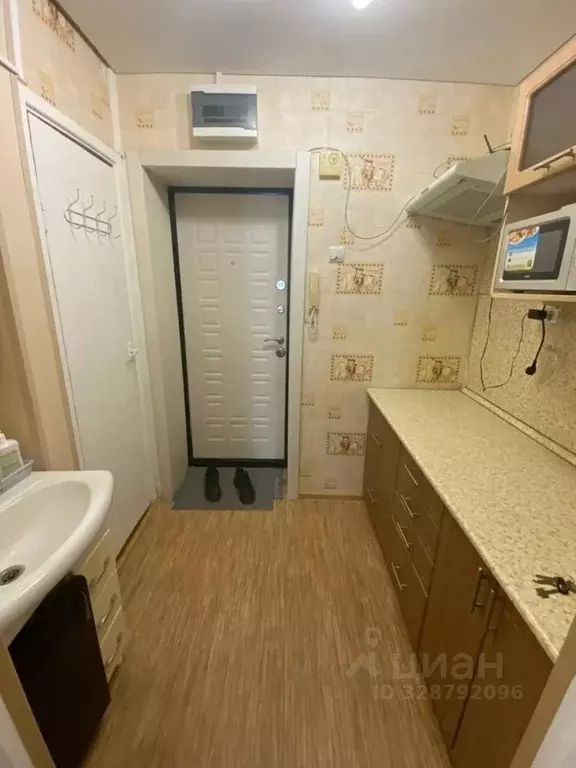 Студия Алтайский край, Барнаул Молодежная ул., 2А (20.0 м) - Фото 1