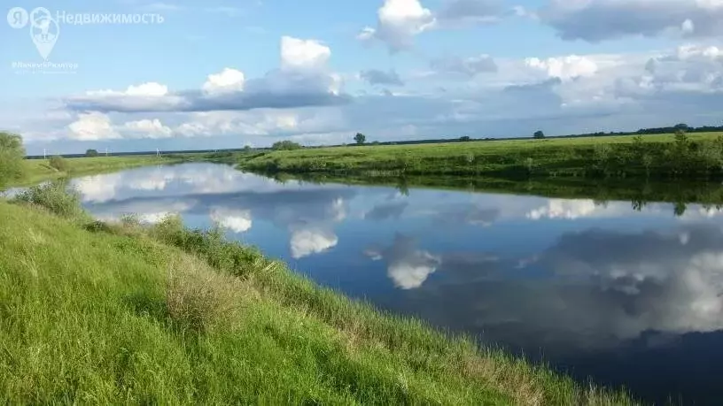 Участок в Рязанская область, Спасский муниципальный округ, деревня ... - Фото 2