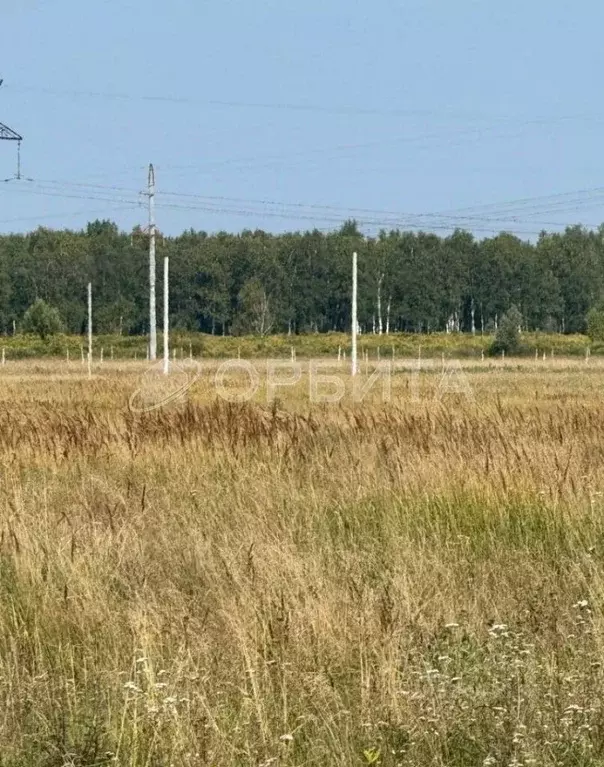 Участок в Тюменская область, Тюменский район, с. Щербак  (5.0 сот.) - Фото 0