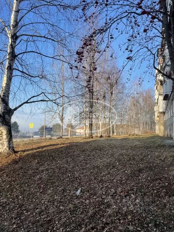 3-к кв. Пермский край, Добрянка ул. Энергетиков, 23 (59.2 м) - Фото 0