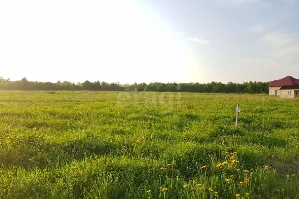 Участок в Косырёвка, Серебряная улица (9.2 м) - Фото 1