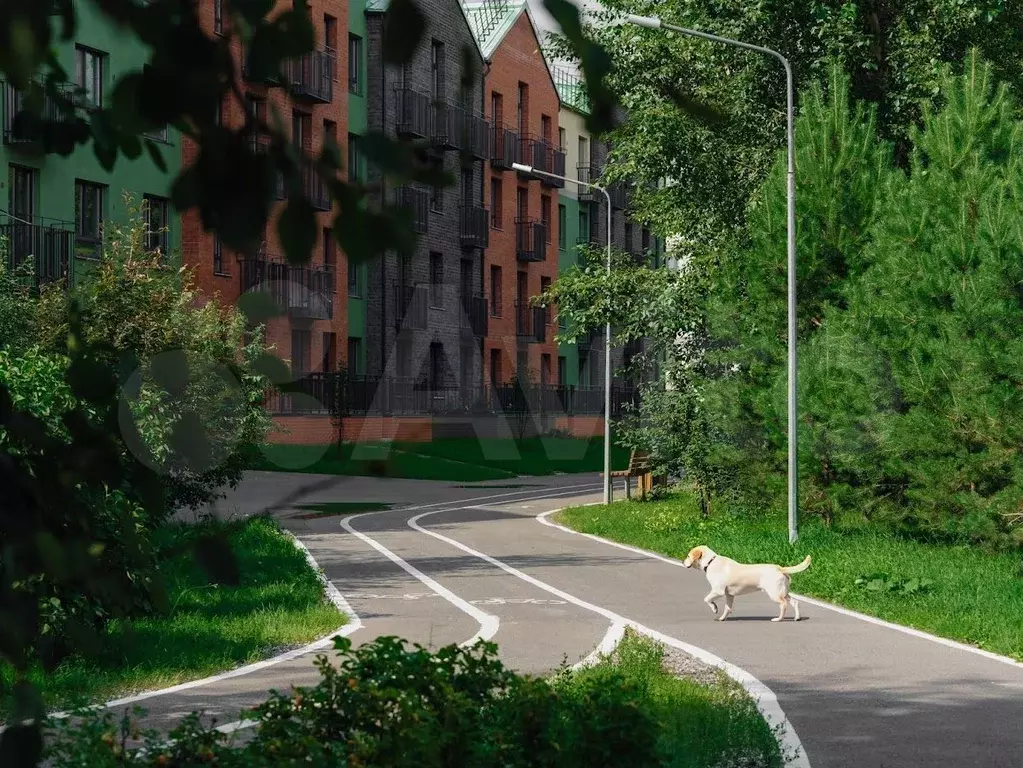 1-к. квартира, 47,8 м, 1/4 эт. - Фото 1