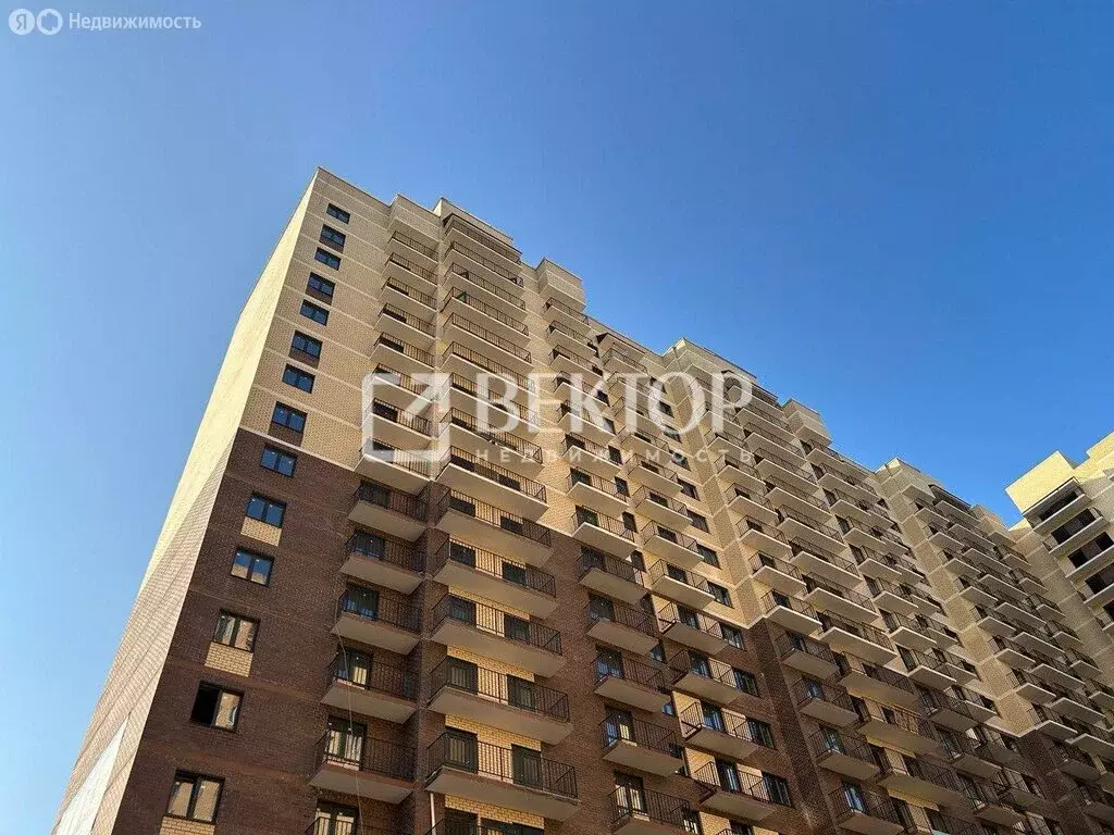 Квартира-студия: Ярославль, Пашуковская улица, 11 (27.13 м) - Фото 2