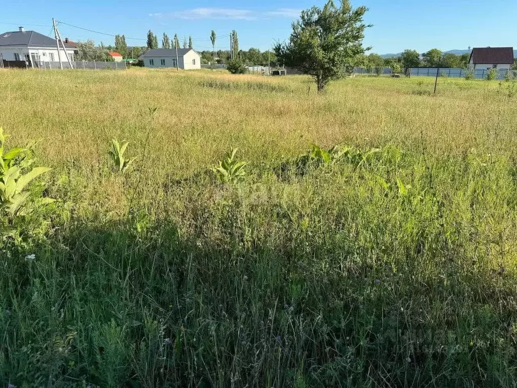 Участок в Краснодарский край, Новороссийск городской округ, ... - Фото 0