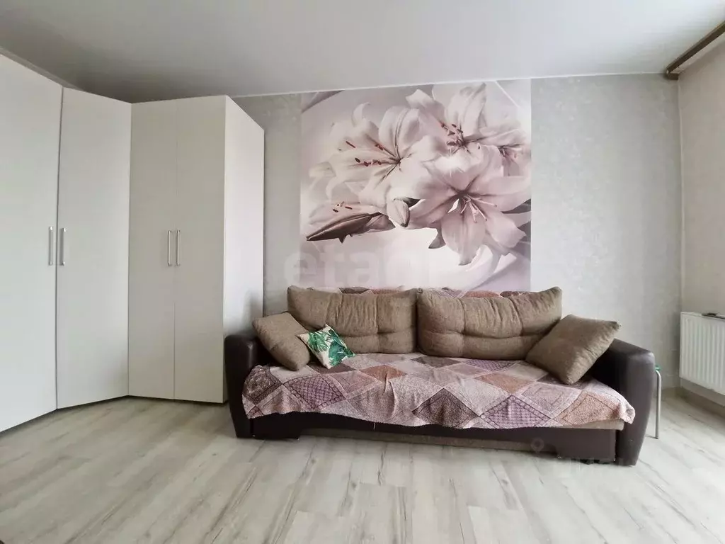 Студия Московская область, Дмитров ул. Спасская, 6А (29.3 м) - Фото 2