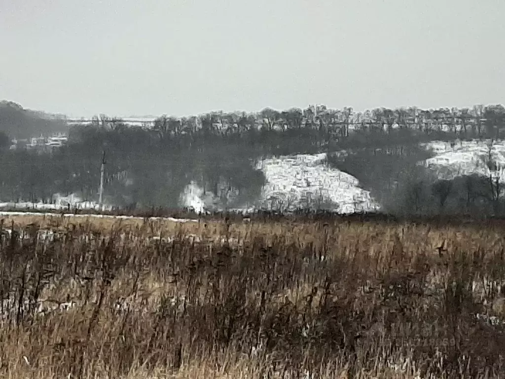 Участок в Белгородская область, Белгородский район, Крутологское ... - Фото 1